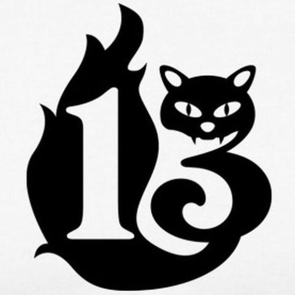 Цифра 13