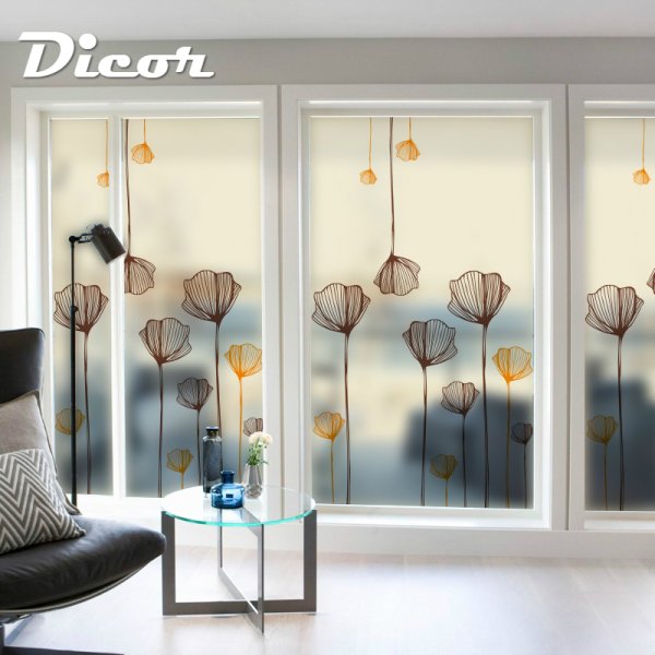 Плёнка на окна декоративная