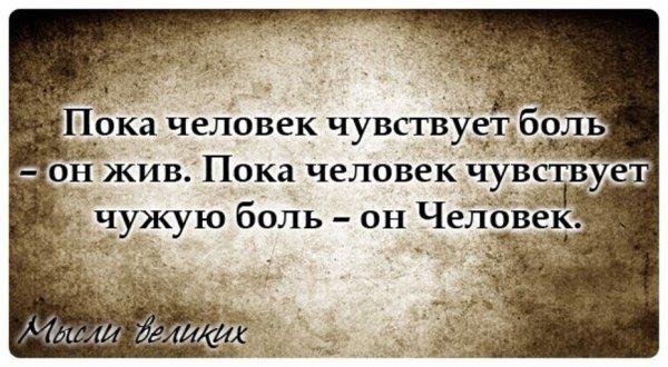 Люди которые поздно добились успеха