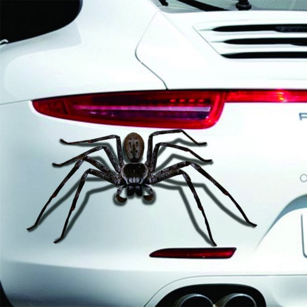 Наклейки на авто паук