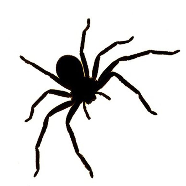 Наклейка паук
