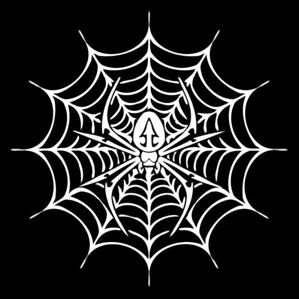 Наклейка паук на паутине