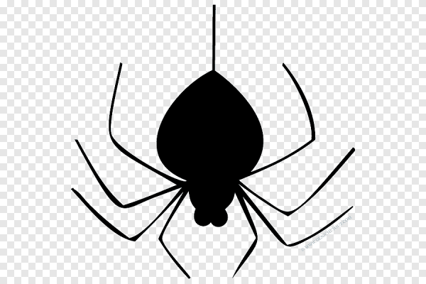 Наклейка пауков
