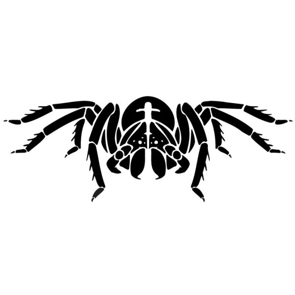 Наклейки тату паук