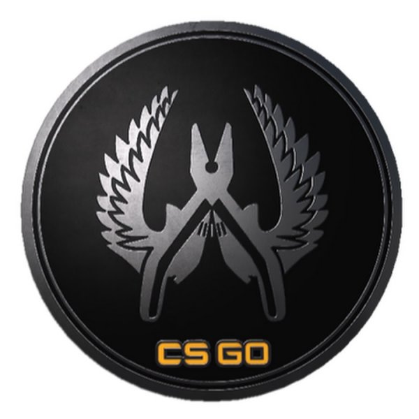 CS go Guardian Pin