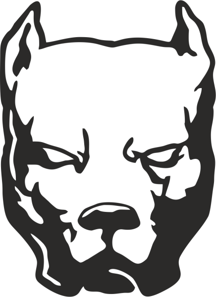 Питбуль Давидыча