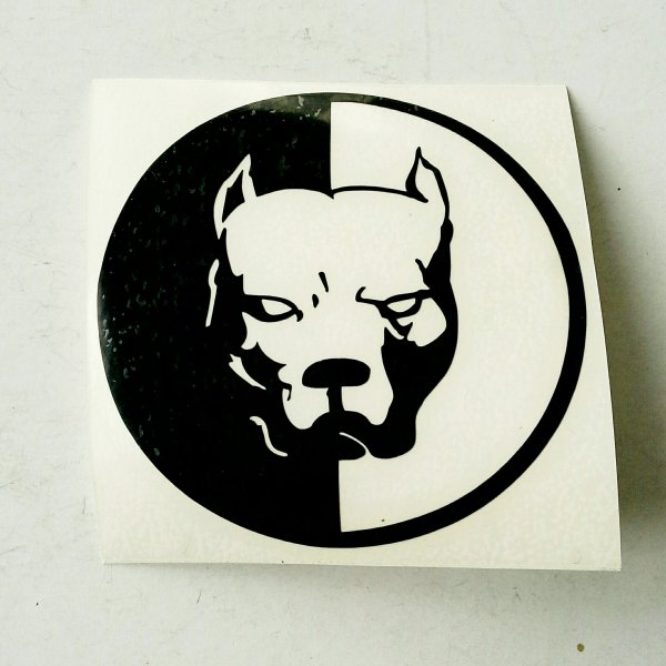 Знак Давидыча питбуль