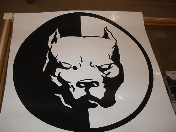 Питбуль винил Давидыча