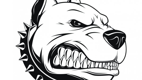 Тату питбуля эскизы