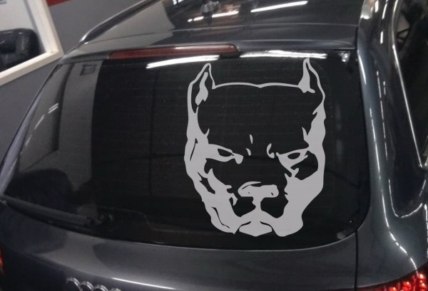 Наклейки на стекла авто