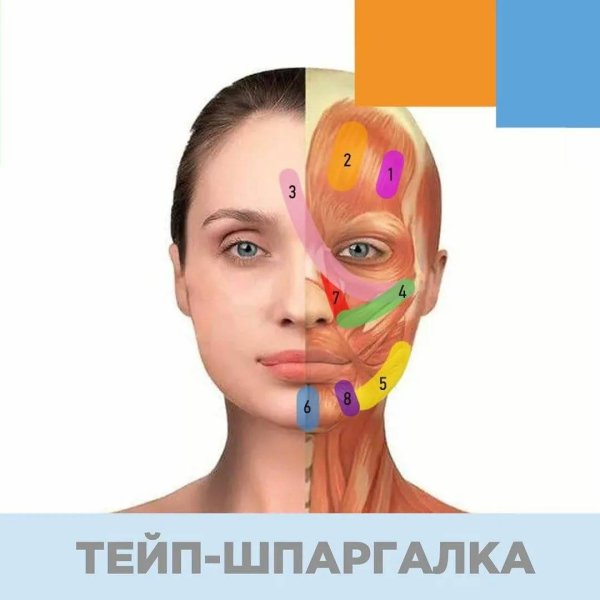 Схемы тейпирования лица