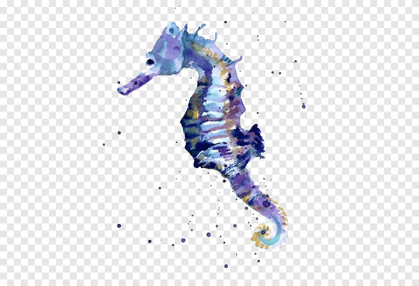 Акварельные скетчи морских коньков