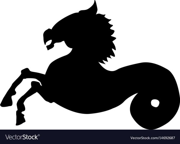 Силуэты гиппокампа