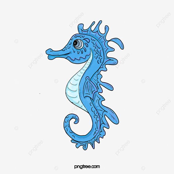 Гиппокампус контур