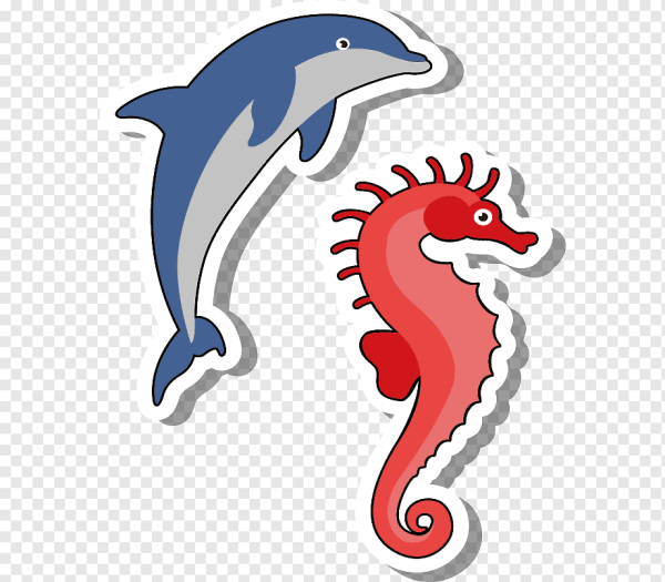 Дельфин вектор