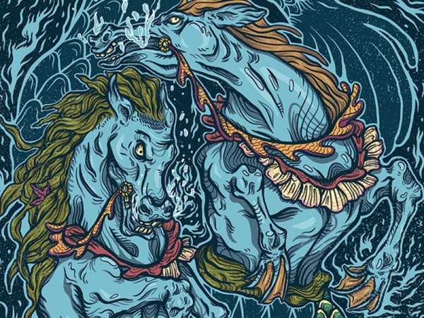 Гиппокамп рыба могущественная