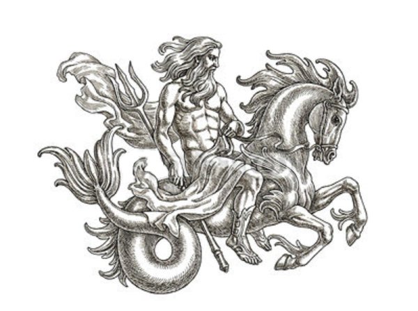 Постер морской конек