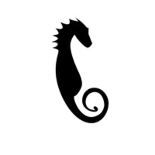 Раскраска лошади красивые фантастические