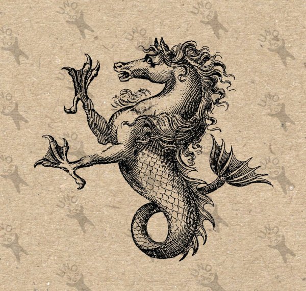 Морской конь для детей