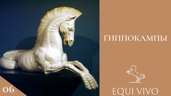 Гиппокампус мифология тату