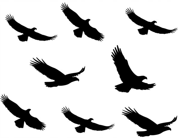 Наклейка птички