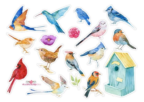 Птицы (с наклейками)