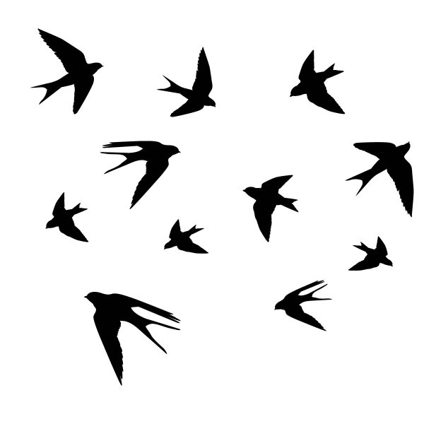 Наклейка птички