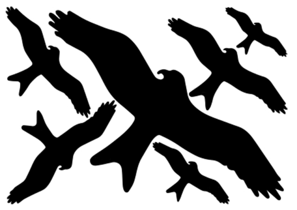 Силуэты хищных птиц