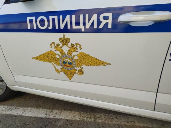 Наклейка полиция на машину