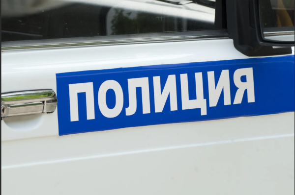 Наклейка полиция на машину