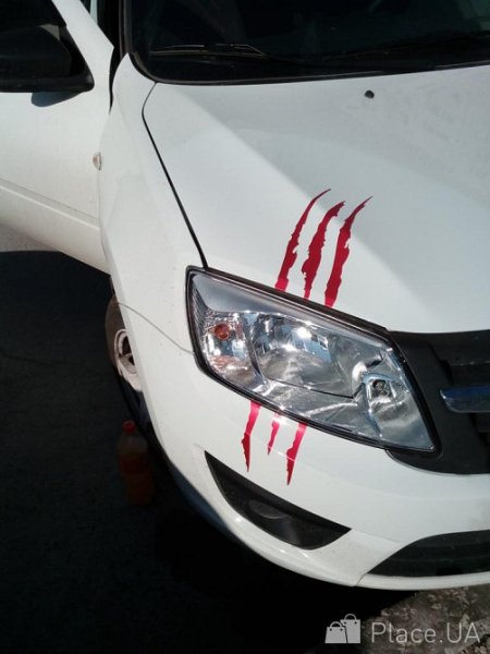 Наклейки на авто царапины от когтей