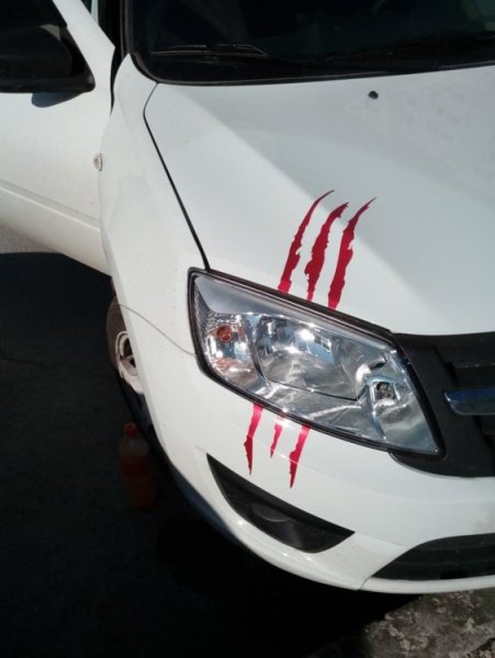 Японская автомобильная наклейка JDM Speedhunters