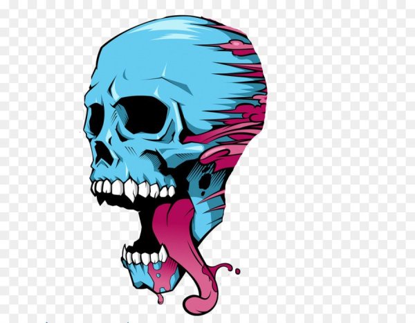 Череп без заднего фона