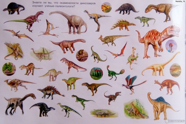 Динозавры. Альбомчик наклеек