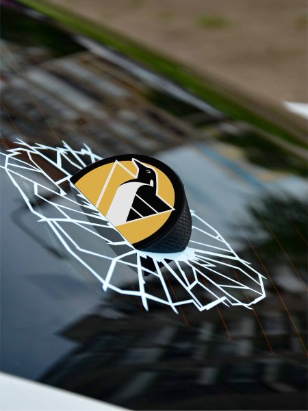 Наклейка шайба на машину