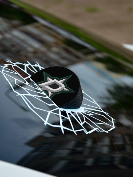 Шайба стикер