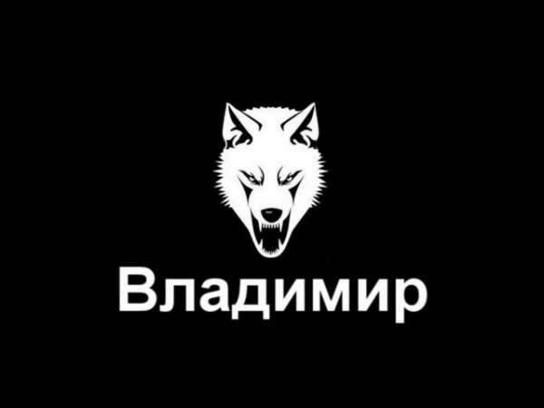 Дмитрий Винокуров Оренбург