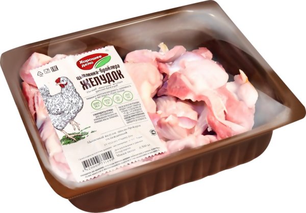 Курица вектор