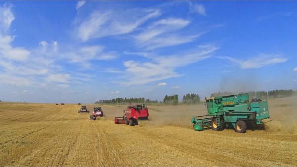 Сергей тракторов будни тракториста