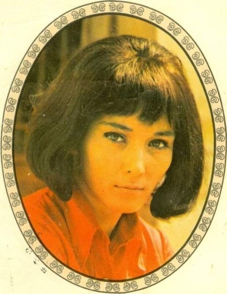 Переводилки ГДР 70х