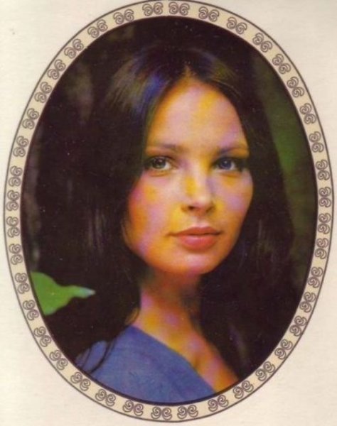 Переводилки ГДР