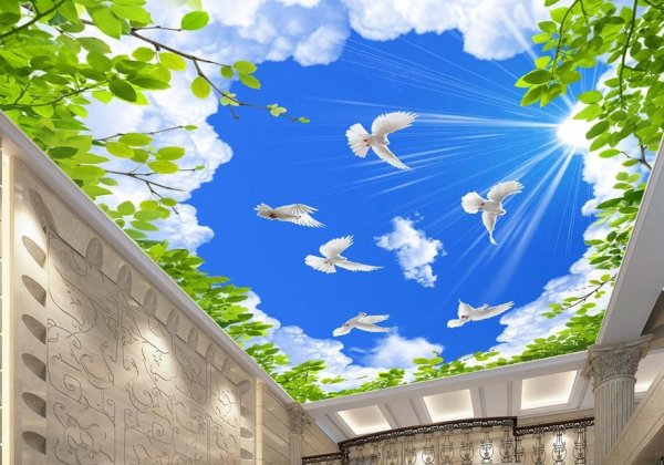 3д обои на потолок