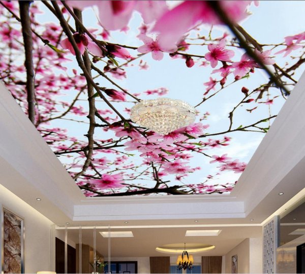 Красивые наклейки на потолок