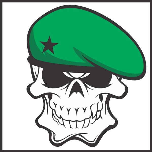 Череп в немецкой фуражке