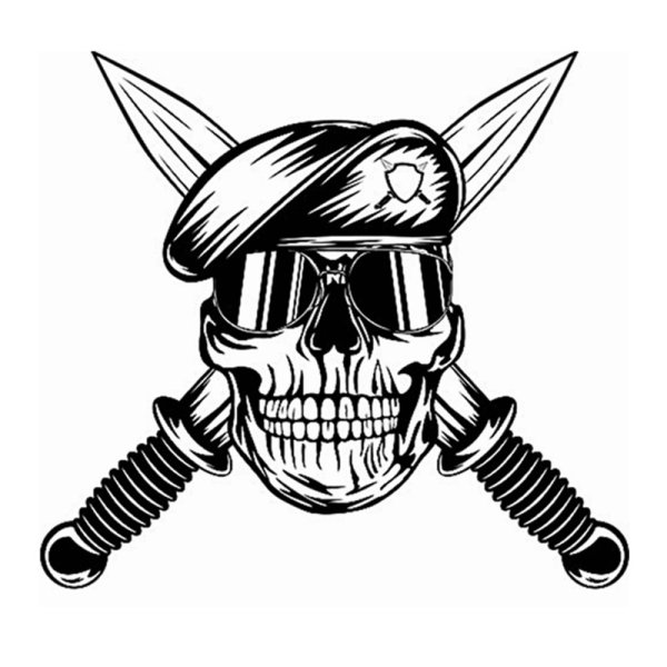 Термотрансфер череп