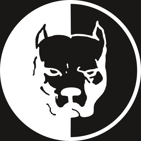 Питбуль Давидыча