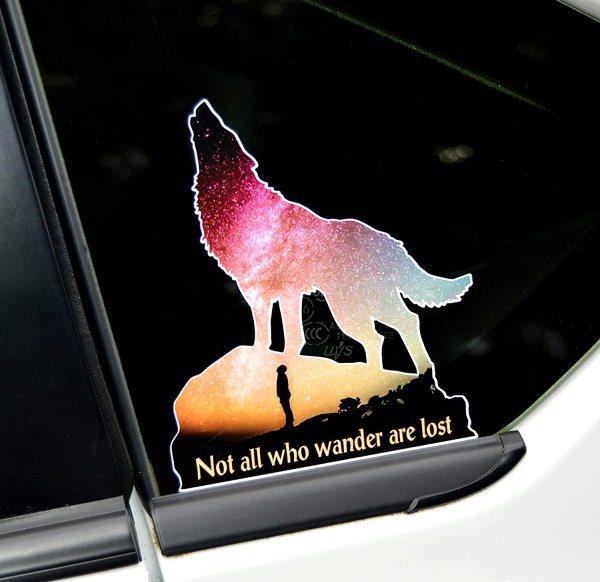 Котобус сбоку