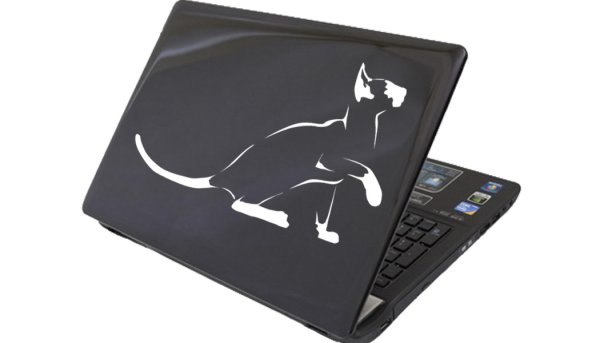 Наклейки на ноутбук