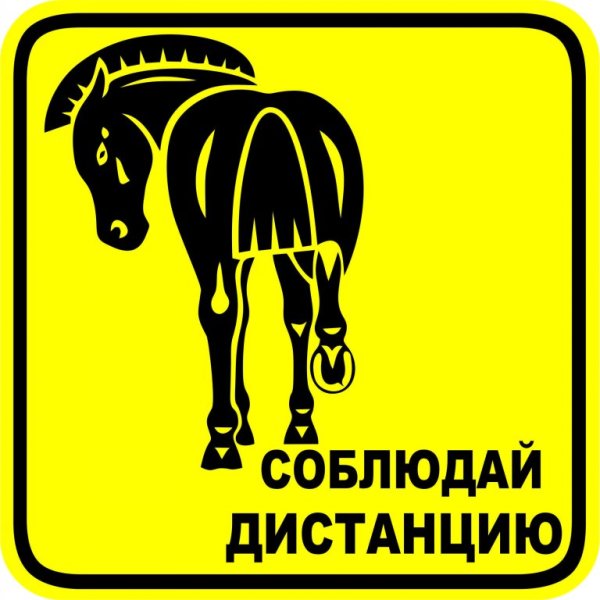 Дорожные знаки