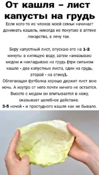 Лист капусты от кашля